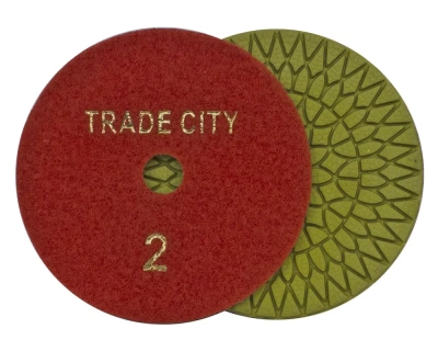 Алмазные гибкие шлифовальные круги Цветочек Pads 4-STEP D100 №2